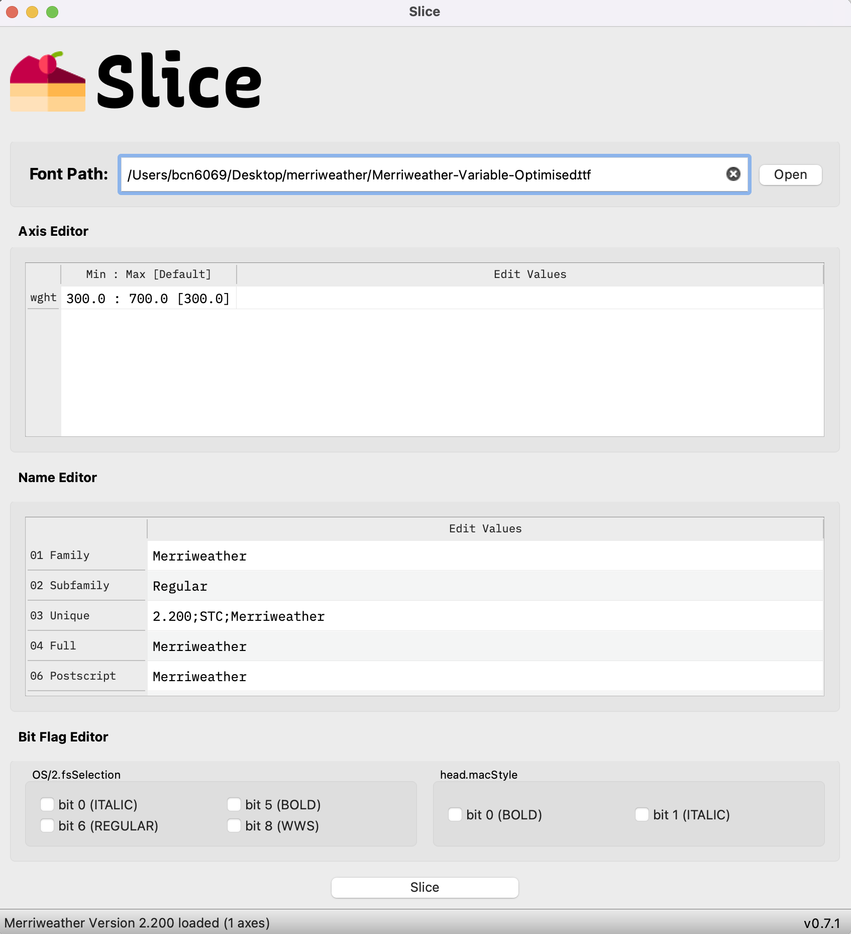 A screenshot of the Slice desktop application with the optimised font file loaded and it's meta data displayed. wght is the only axis defined for the font.
